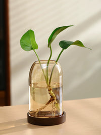 Vintage Glass Small Flower Vase Hydroponic Plant Container for Home Office Desktop Decor