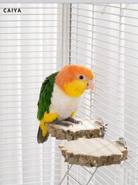 Parrot Prickly Ash Wood Standing Platform for Budgies and Peonies, Solid Wood Rest Platform, Jumping Platform, Bird Cage Decoration