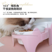 Ceramic Elevated Double Cat Bowls with Anti-Slip Stand for Neck Protection