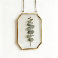 European Style Metal Glass Photo Frame for DIY Plant Specimens