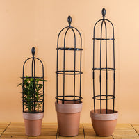 Metal Round Plant Trellis for Climbing Vines and Potted Plants