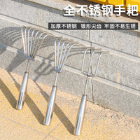 Stainless Steel Clamming Rake with Wooden Handle for Beachcombing and Gardening