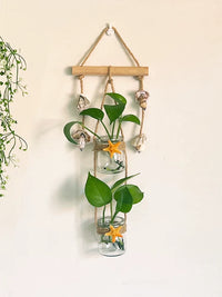 Modern Minimalist Wall-Mounted Hydroponic Glass Vase Decor