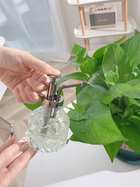 Nordic Style Glass Plant Mister with Pressure Pump for Indoor and Outdoor Gardening