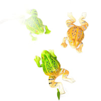 Realistic Frog Resin Ornament for Garden & Aquarium Decor
