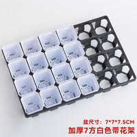 24-Hole Succulent Planter Tray with Optional Square Pots for Seedling Propagation