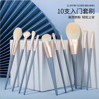 10-Piece Blue Bridge Ultra-Soft Makeup Brush Set with Powder, Eyeshadow, and Foundation Brushes