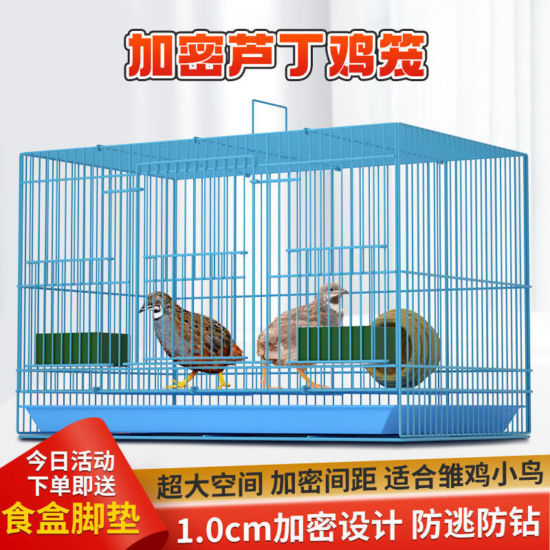 Quail and Chick Brooder Cage with Feeder and Nest for Small Poultry