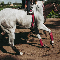 Horse Leg Boots for Impact Protection and Injury Prevention, Equestrian Leg Wraps for Outdoor Riding