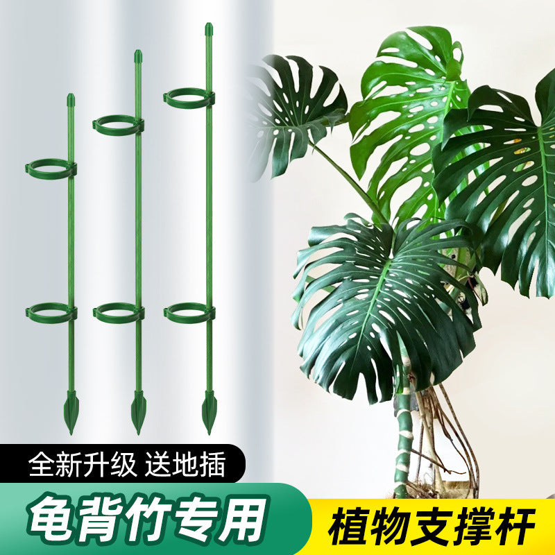 Orchid Plant Support Stakes, Fiberglass Plant Climbing Rods for Phalaenopsis and Potted Plants, with Clips and Ground Plugs