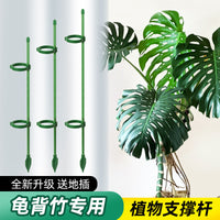 Orchid Plant Support Stakes, Fiberglass Plant Climbing Rods for Phalaenopsis and Potted Plants, with Clips and Ground Plugs