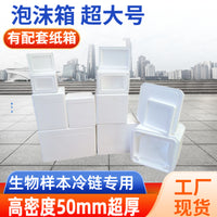 Thickened 5cm Foam Cooler Box for Medical Cold Chain Transport