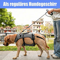 Dog Full Body Support Harness for Post-Surgery Recovery and Joint Care