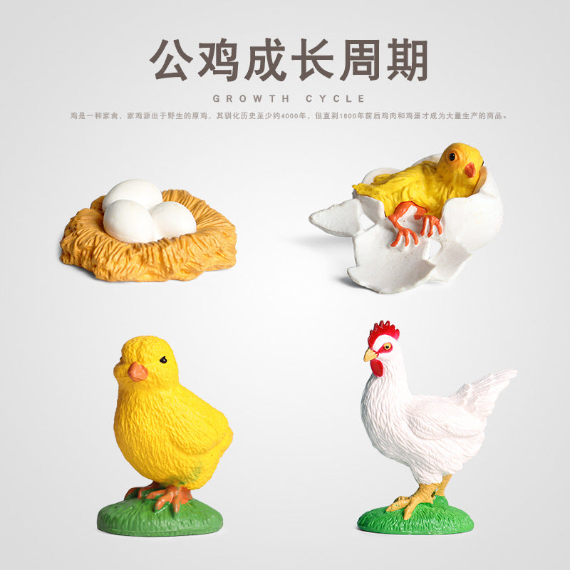 Animal Life Cycle Figurines Educational Toy Set for Kids