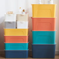 Lidded Plastic Storage Box for Toys, Books, and Sundries - Medium Size