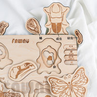 Montessori Wooden Animal Evolution Layered Puzzle for Early Education