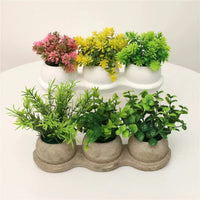 Artificial Succulent Plants in Pulp Pots - Biodegradable Retro Home Decor