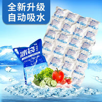 Self-Absorbing Ice Pack for Food Preservation, Leak-Proof Transport Cooler Bag, No Water Injection Required