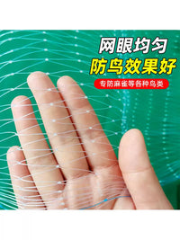 Bird Netting for Fruit Trees, Gardens, and Ponds - Durable Nylon Anti-Bird Mesh