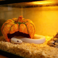 Reptile Hideout House Decoration for Corn Snakes Geckos Lizards, Resin Pumpkin/Tree Stump Design