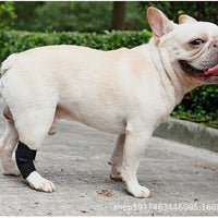 Pet Post-Surgery Recovery Leg Sleeve for Dogs - Anti-Lick Joint Support