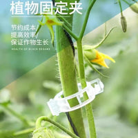 Plant Vine Clips for Garden Support, Trellis, and Seedling Fixing