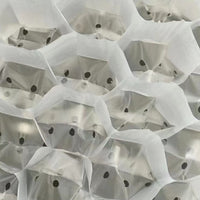 Biodegradable Non-Woven Seedling Nursery Bags