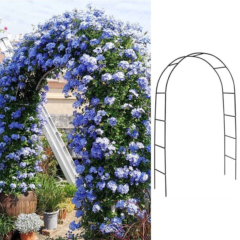 Metal Garden Arch Trellis for Climbing Plants, Roses, Clematis, and Vines