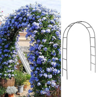 Metal Garden Arch Trellis for Climbing Plants, Roses, Clematis, and Vines