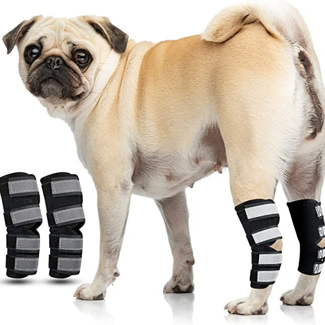 Pet Dog Knee Brace for Injury Recovery and Support