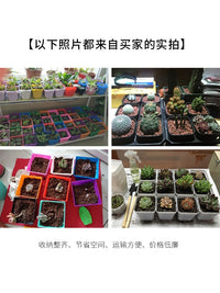 Colorful Plastic Succulent Planters with Trays - 10cm Square Nursery Pots for Seedlings