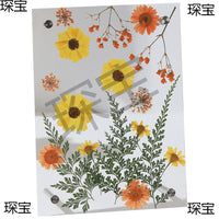 Handmade Acrylic DIY Frame with Dried Flowers, Preschool Graduation Plant Specimen Frame for Kids