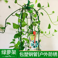 Garden Climbing Plant Support Trellis for Roses, Clematis, and Vines