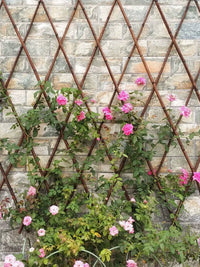 Outdoor Expandable Bamboo Fence Trellis for Climbing Plants Roses Garden Balcony Support