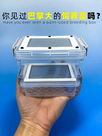 Insect Breeding Box for Reptiles, Spiders, Hamsters, and Birds - Mealworm and Beetle Cultivation