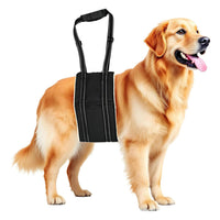 Dog Mobility Aid Harness for Rehabilitation and Support