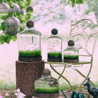 Japanese Style Thickened Glass Fish Tank with Wooden Base, Creative Ecological Bottle for Hydroponics