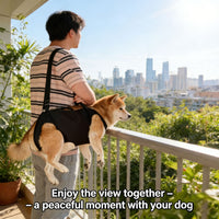 Dog Lift Harness for Senior, Injured, or Disabled Dogs - Rehabilitation and Support Sling