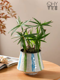 Jingdezhen Ceramic Orchid Planter Pot with Hand-Painted Vintage Design for Living Room