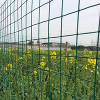 PVC Coated Welded Wire Mesh Fence for Farm Enclosures and Poultry