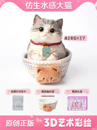 Chubby Cat Squeeze Toy Stress Relief Fidget Gift for Girls