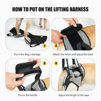 Customizable Pet Dog Rear Leg Support Harness for Elderly & Disabled Dogs