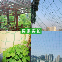 Heavy-Duty Plant Climbing Net for Cucumber, Passion Fruit, Gourd, and Grape Vines - Garden Trellis and Protection Net