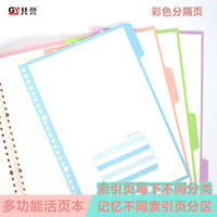 Gongyu A5/B5 Soft PP Loose-Leaf Notebook with Dividers, Morandi Colors, Large Capacity
