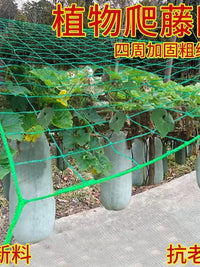 Plant Trellis Netting for Climbing Fruits and Vegetables