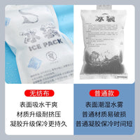 Disposable Reusable Non-Woven Ice Pack for Food Preservation and Commercial Use