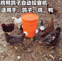 Automatic Poultry Feeder for Chickens, Ducks, Pigeons, and Other Small Birds