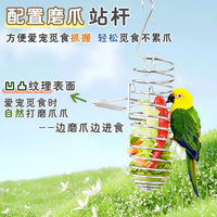 Stainless Steel Bird Feeder Fruit Vegetable Basket Hanging Feeder for Parakeets