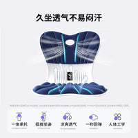 Ergonomic Posture Correction Seat Cushion for Kids and Students, Lumbar Support for Prolonged Sitting