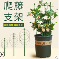 Adjustable Green Plant Support Stakes for Climbing Vines and Flowers, Garden Trellis for Potted Plants